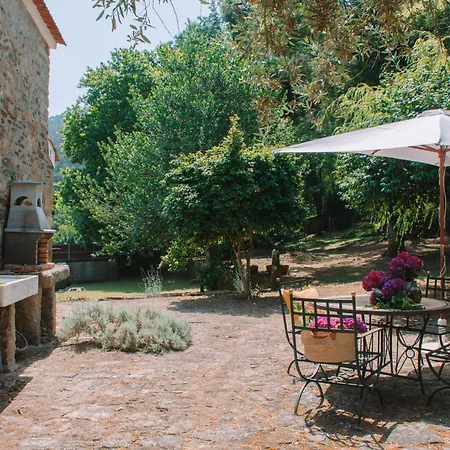 Just Like - Casa Da Bolota