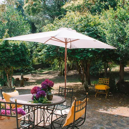 Just Like - Casa Da Bolota *